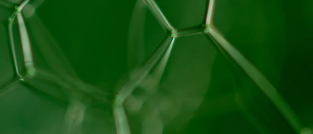 Quantum Resistant Security